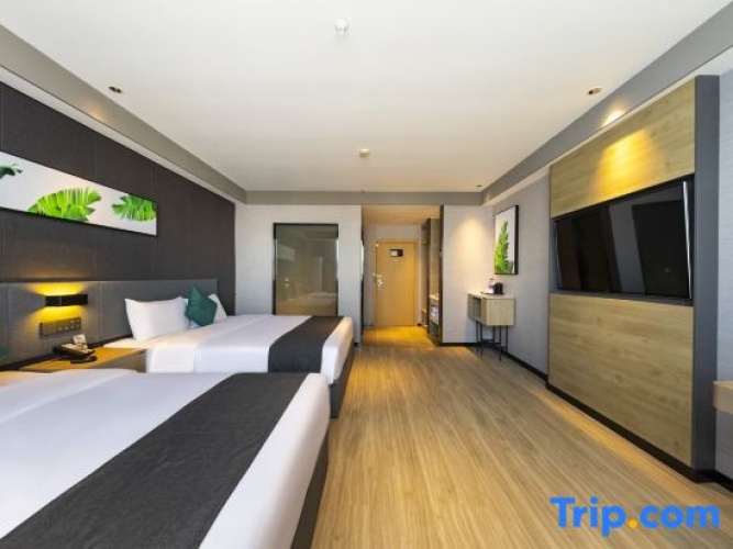 Standard Twin Family room