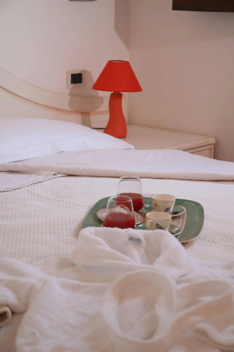 Home Mini Resort