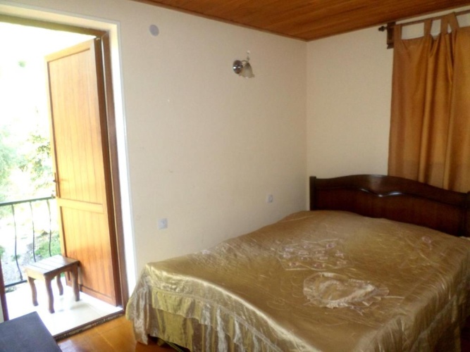 Deluxe Double room with balcony and with view