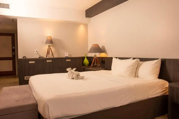 Standard Double room with pool view