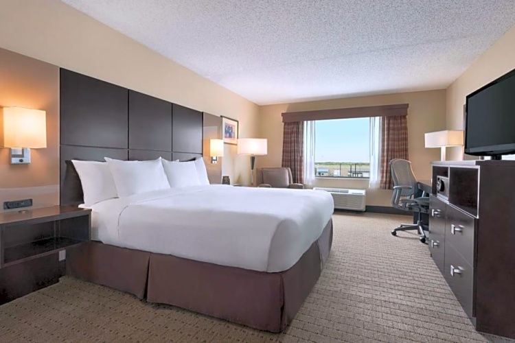 Double Studio Suite