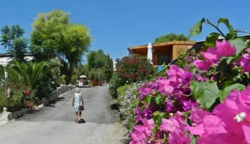 Hotel Totana Sur
