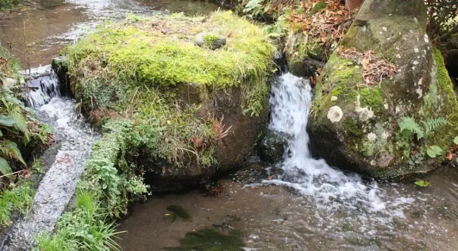 Sanjugariso