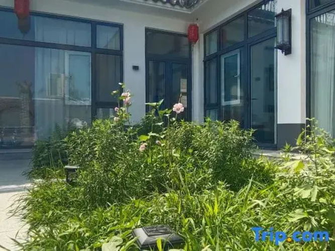 Yinju · Qingwanshe