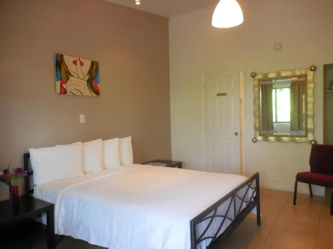 Standard Double room with balcony and with view