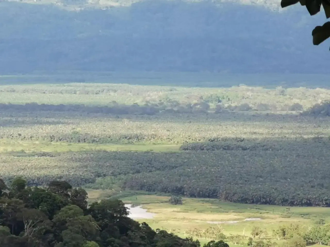 Mirador Osa