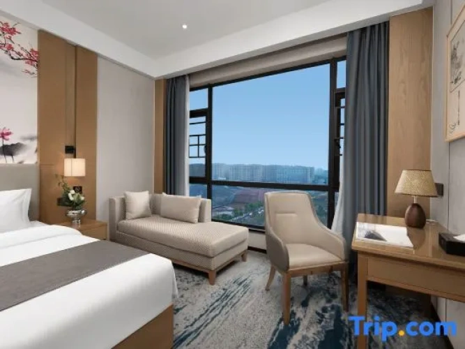 1 Bedroom Suite