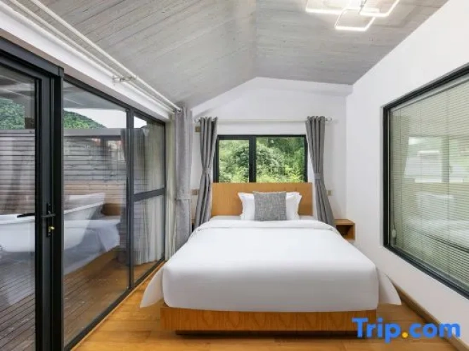 Double Family Suite