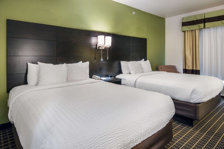 Standard Quadruple room