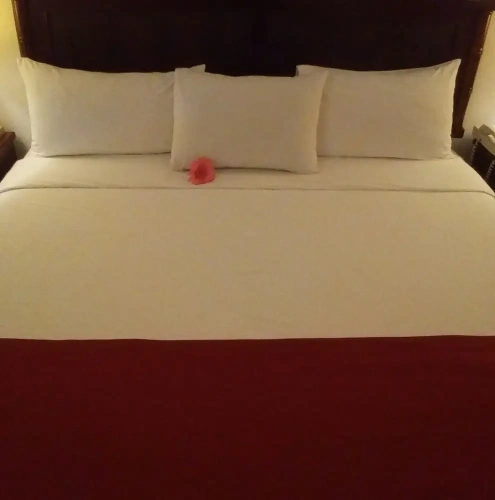 Classic room