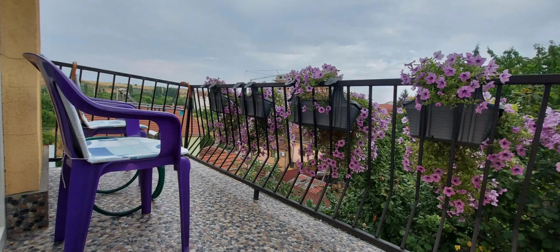 Apartment Vladan