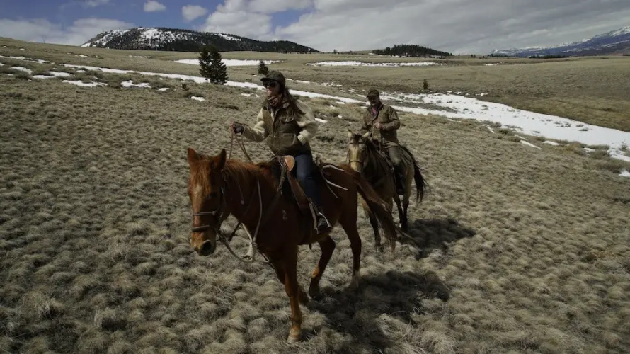 3 Spear Ranch