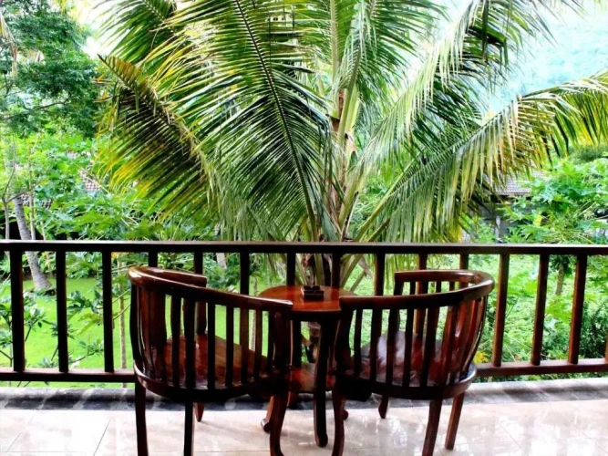 Standard room with balcony and with view