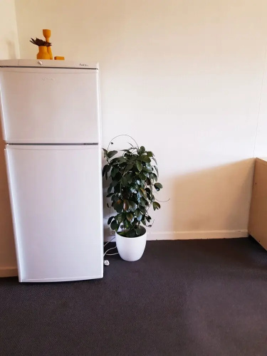 StayPlus Central Apartment With Garden