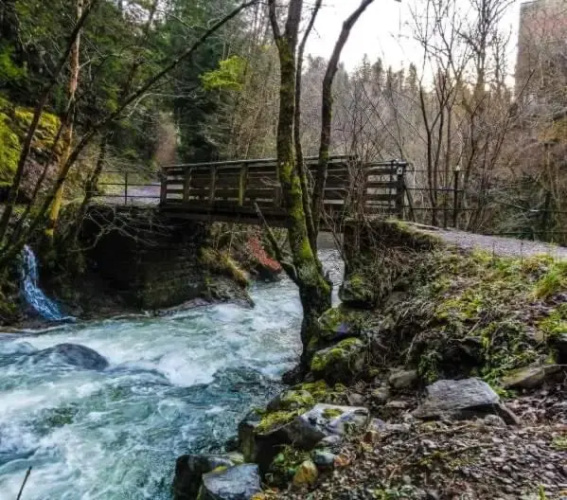 Séjour avec piscine chauffée