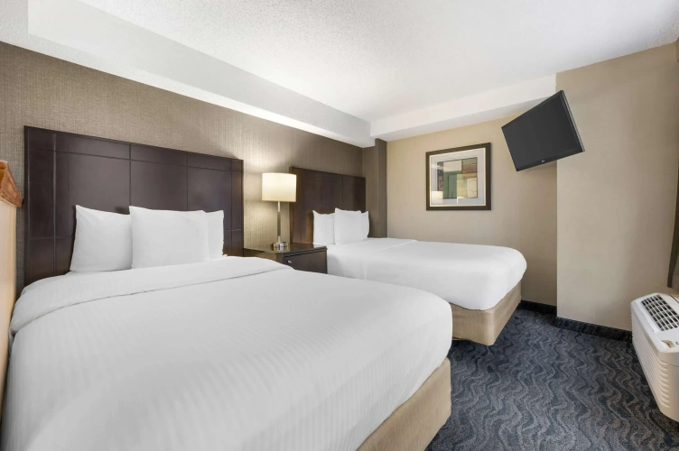 Quadruple Suite
