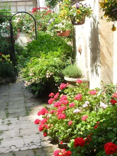 1 Bedroom Comfort Double room with garden view
