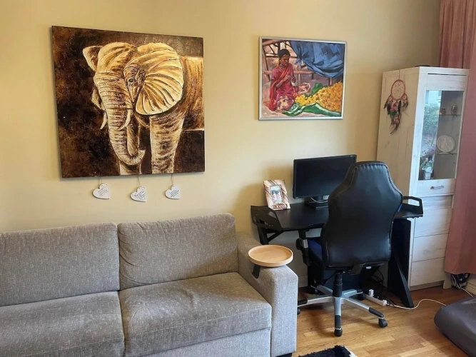 1 Bedroom Apartment with city view