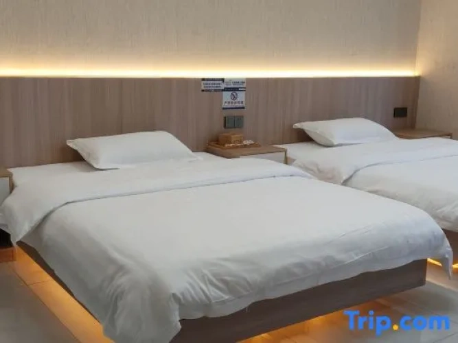Deluxe Twin room with city view