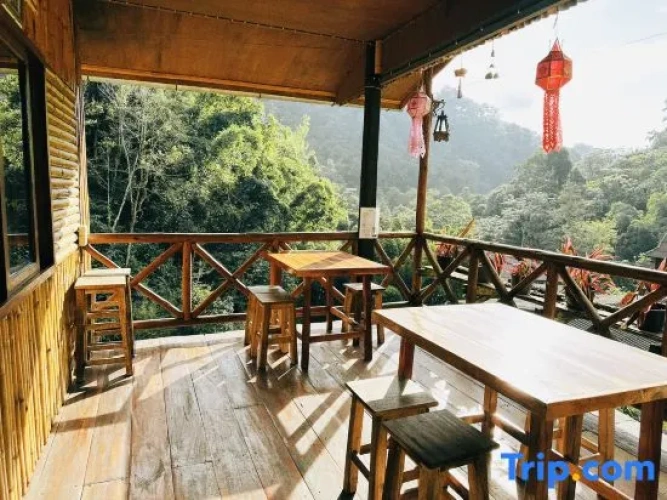 Standard room with view