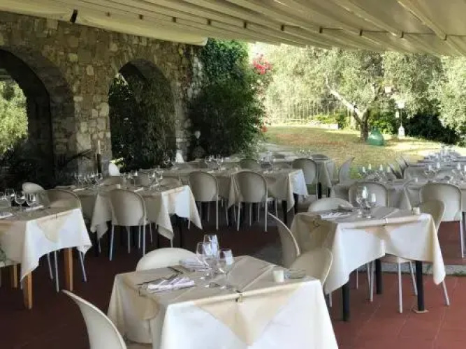 Lo Stregatto