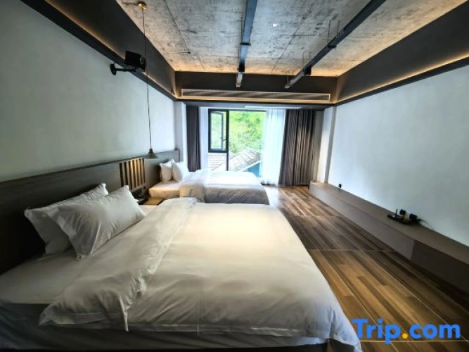 Standard Twin room with view