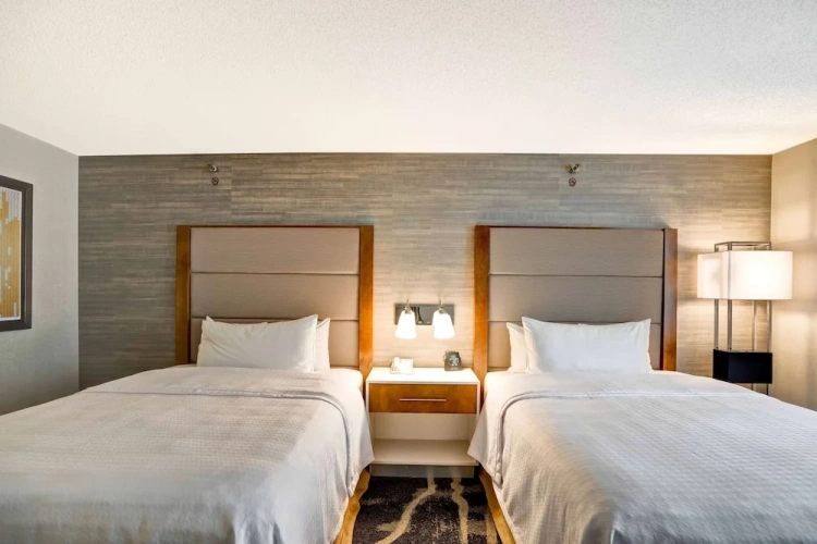 Accessible Quadruple Suite