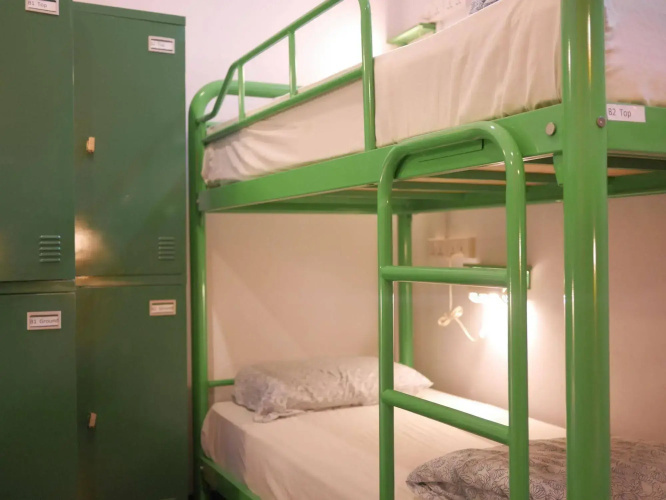 Beary Best! Hostel