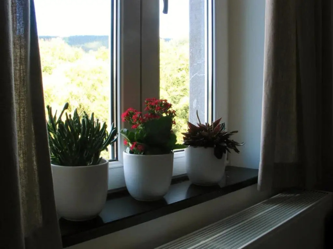 Le Baron Suites & Apartments