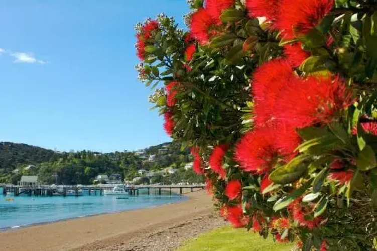 Te Manaaki Villa