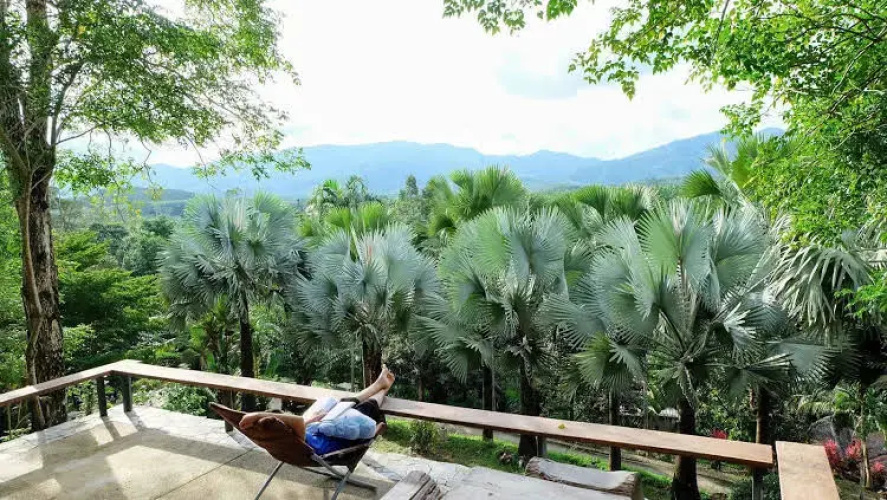 Chongko Farmstay