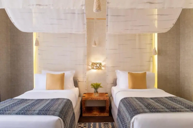 Deluxe Twin room