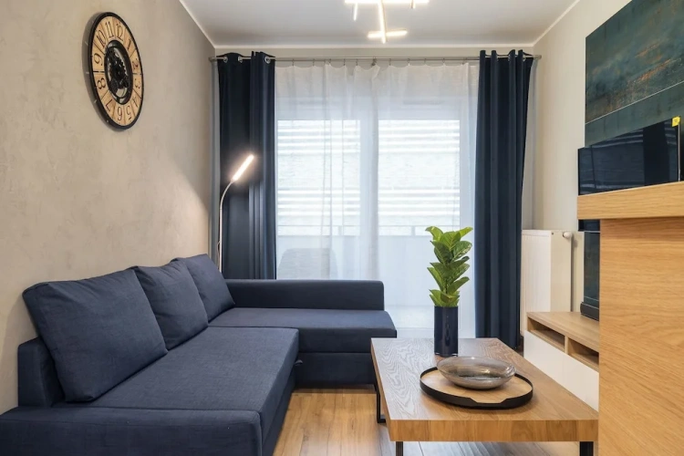 1 Bedroom Classic Apartment