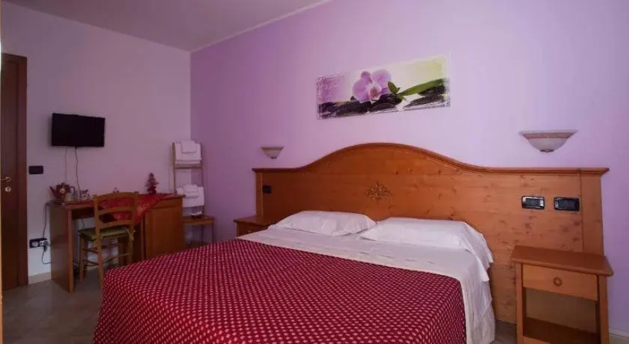B&B Solan