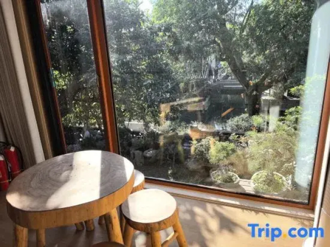 Loquat tree hostel