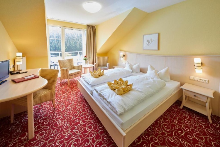 Comfort Double room with balcony and with view