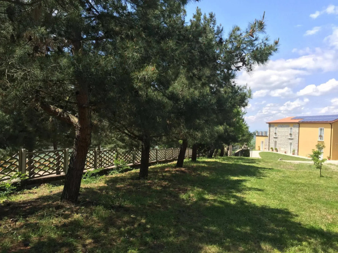 L'Albero d'Oro