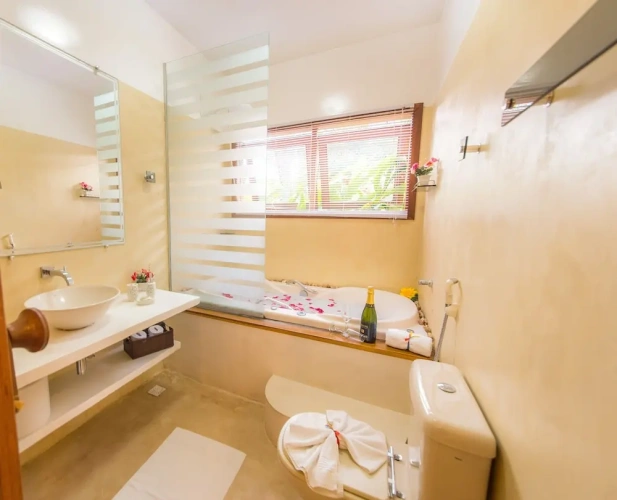 1 Bedroom Deluxe Apartment