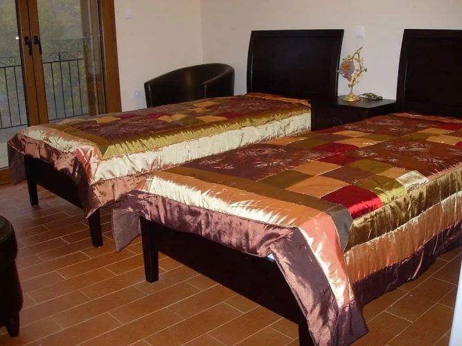 Standard Twin room with balcony and with mountain view