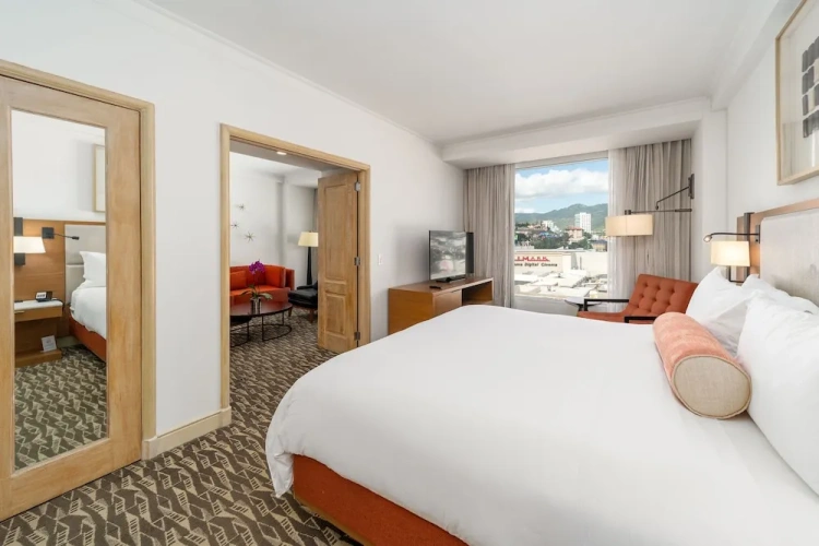 1 Bedroom Suite