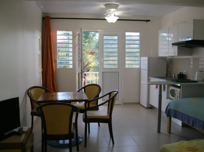 1 Bedroom Apartment with balcony and with view