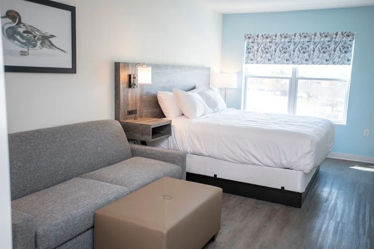 Double Suite