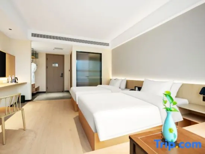 Comfort Twin room with city view