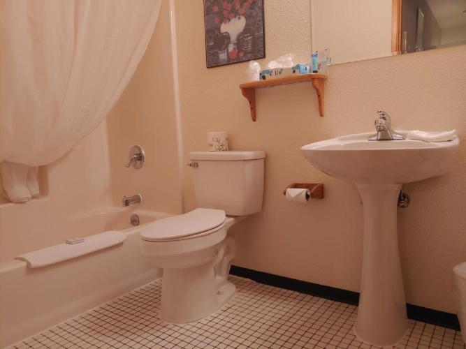 Standard Double room with ocean view