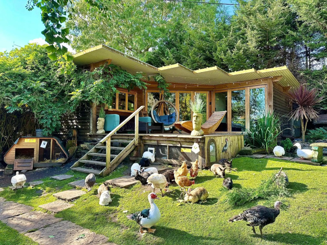 The Base Vegan Retreat