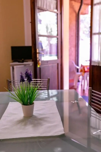 1 Bedroom Apartment with balcony and with view
