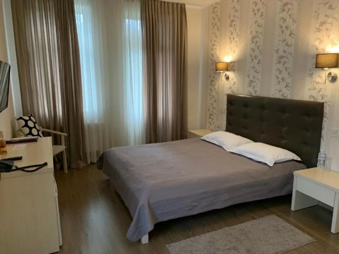 Standard Double room with balcony and with view