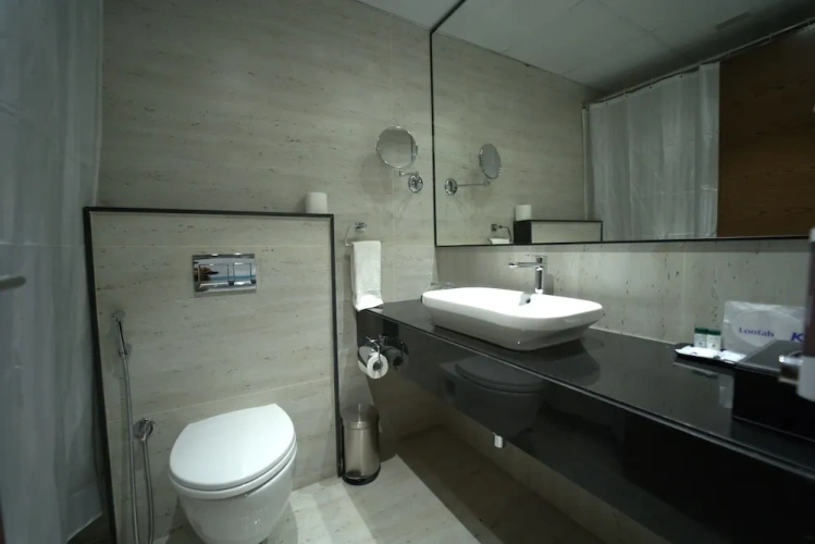 Deluxe Twin room with city view