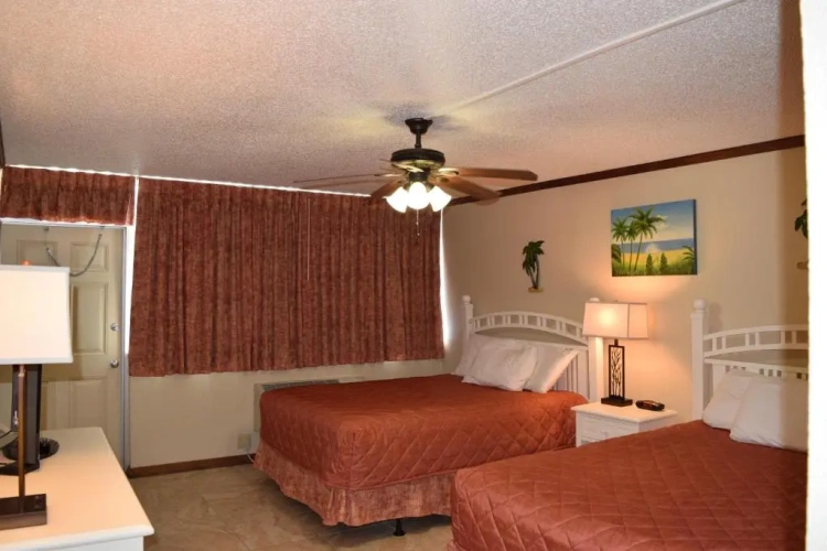 1 Bedroom Suite