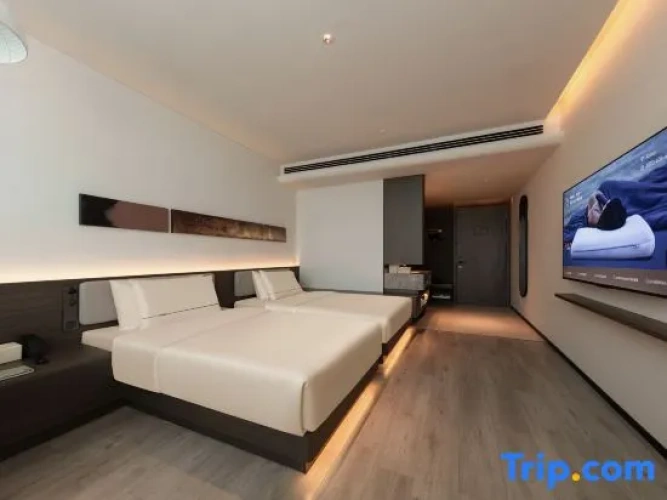 Executive Twin room